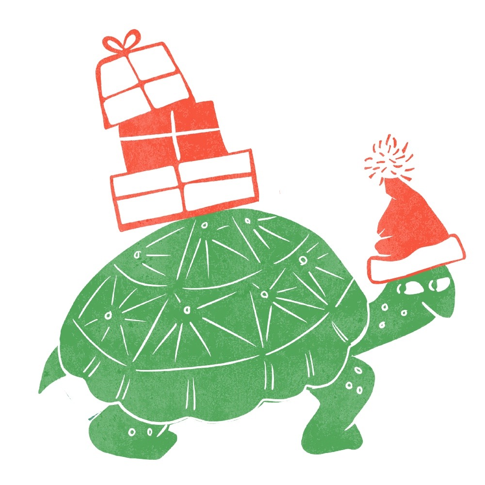 Christmas Turtle